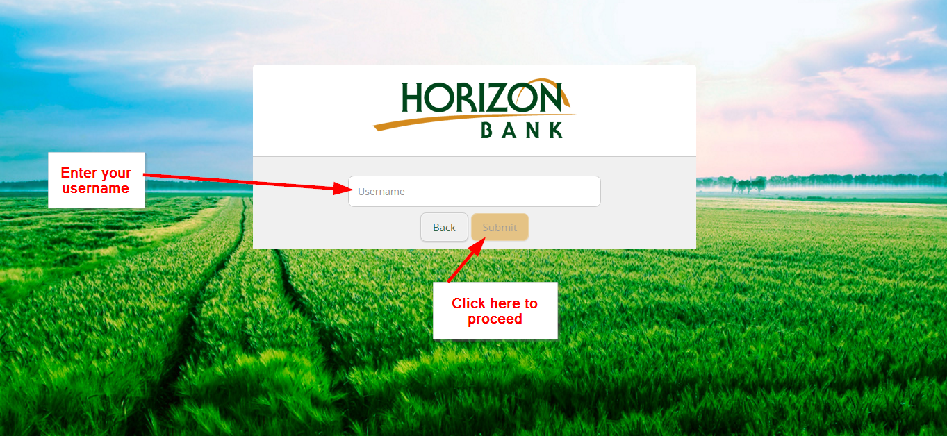 first horizon bank log in