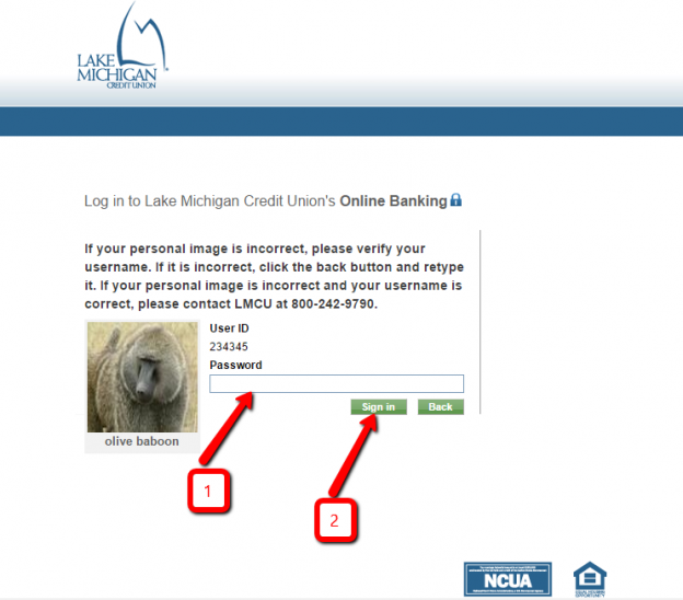 Lake Michigan Credit Union Online Banking Login Login Bank   Login1 624x548 